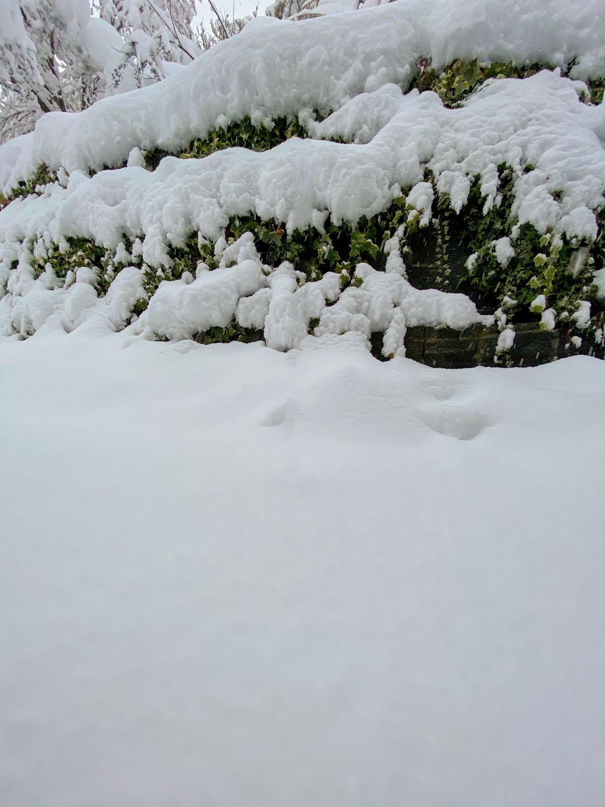 Schnee Garten