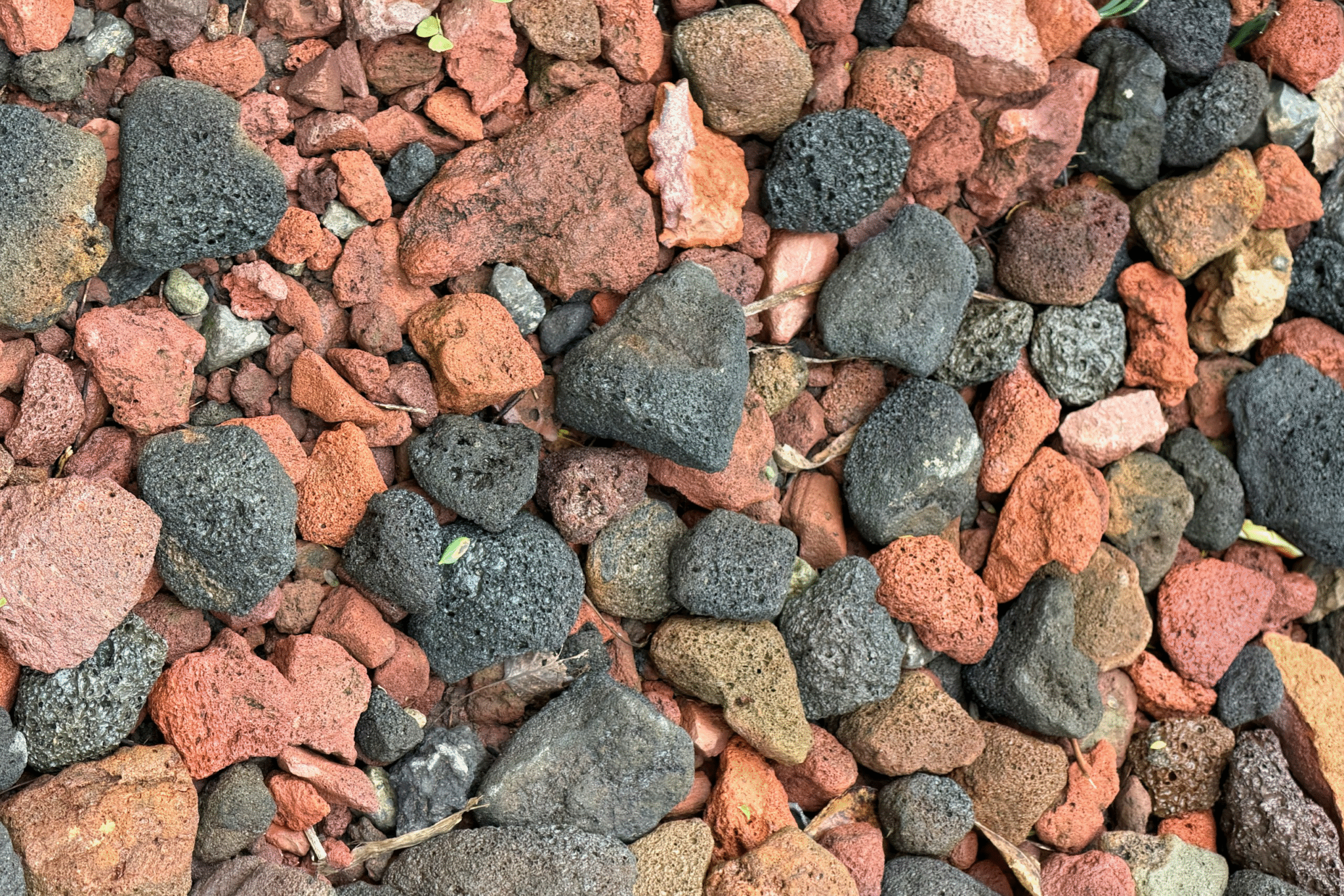 Was eignet sich zum Mulchen?