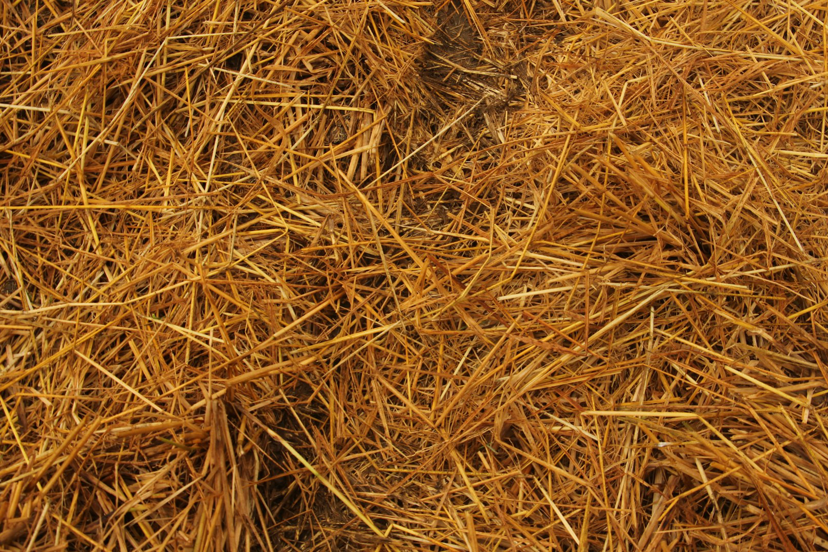 Was eignet sich zum Mulchen?