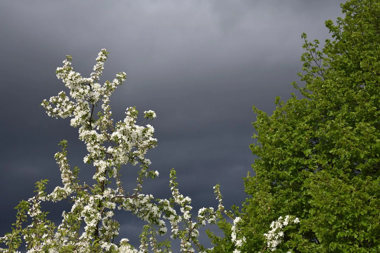 Unwetter Garten