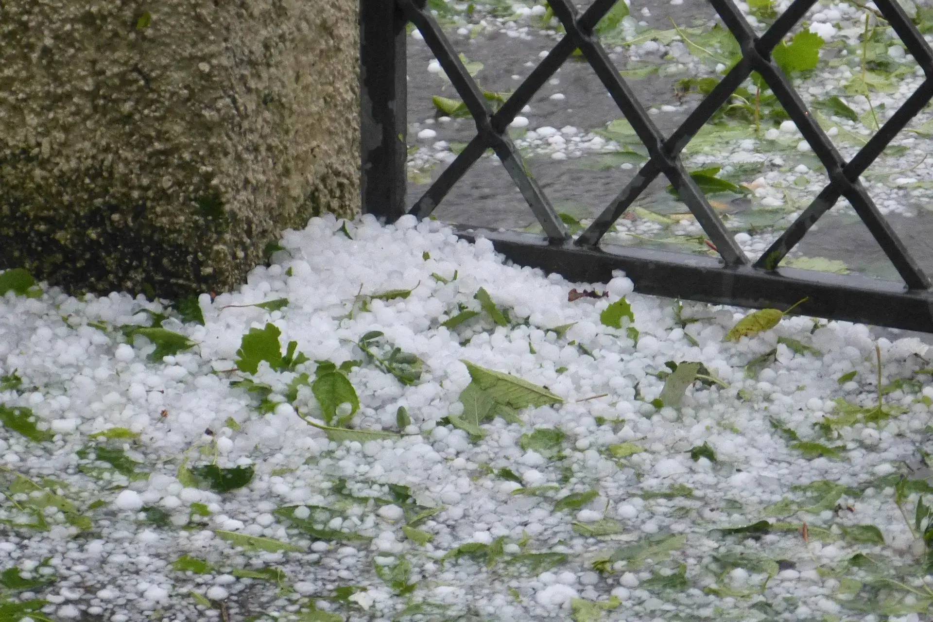 Garten sturmsicher machen