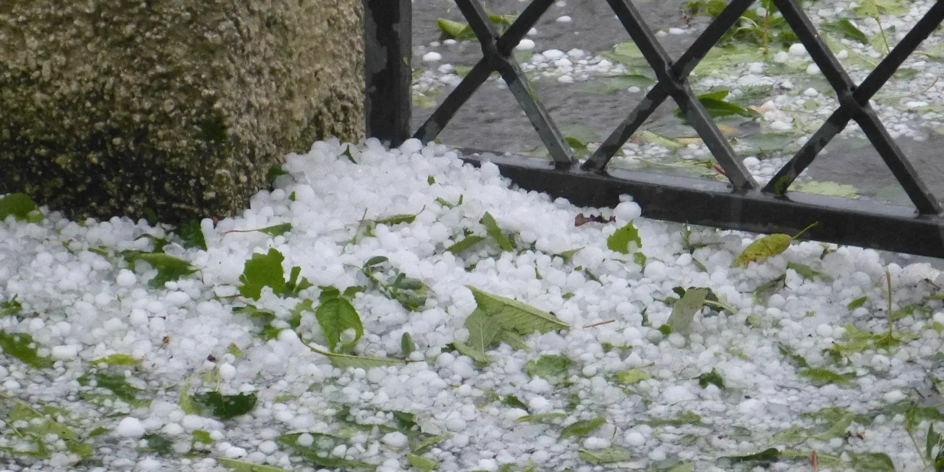 Garten sturmsicher machen
