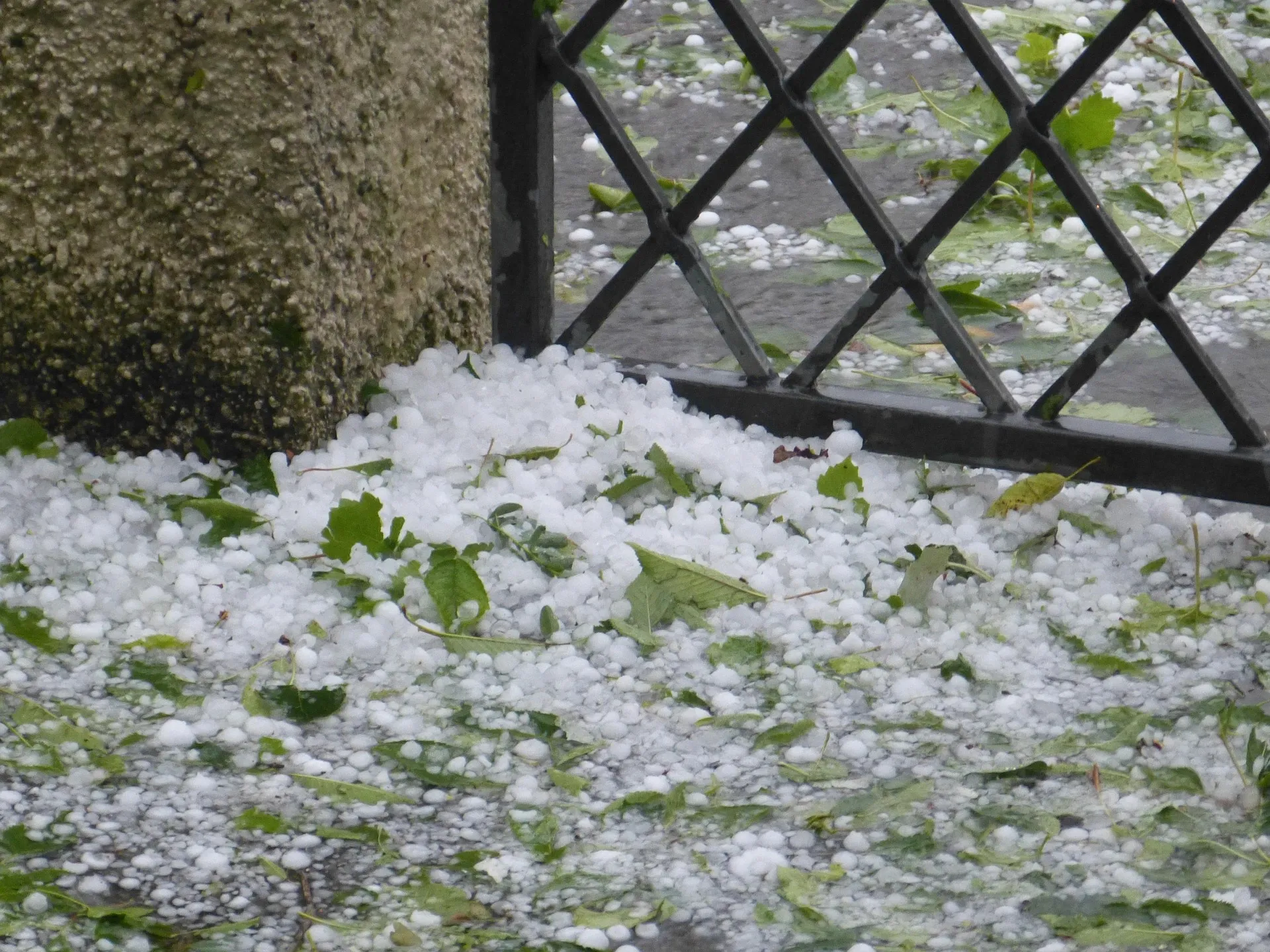 Garten sturmsicher machen